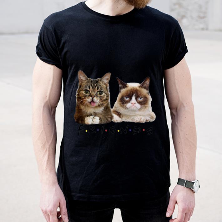 Original Grumpy and Lil Bub cats Friends TV Show shirt