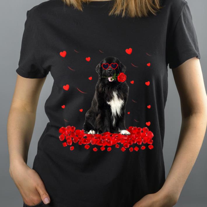 Pretty Valentine's Day Newfoundland Heart Dog Lover shirt
