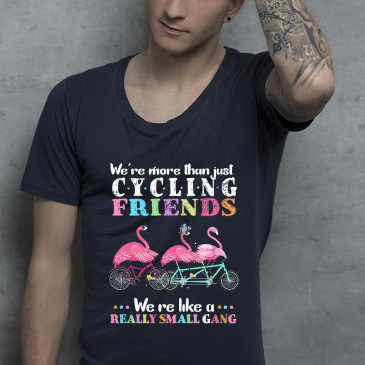 Official Flamingos Cycling Friends We're Like A Really Small Gang shirt