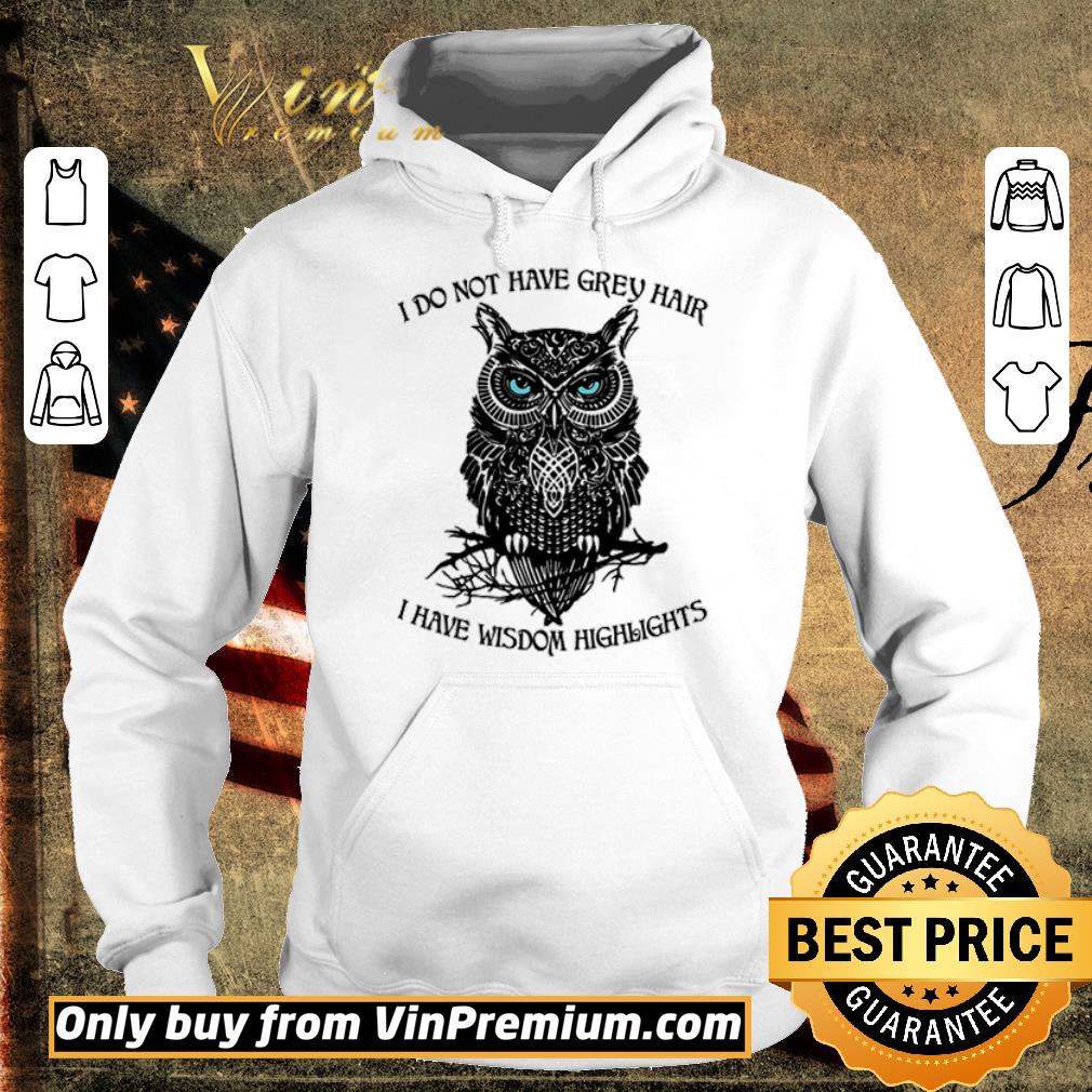 Premium Owl I Do Not Have Grey Hair I Have Wisdom Highlights shirt