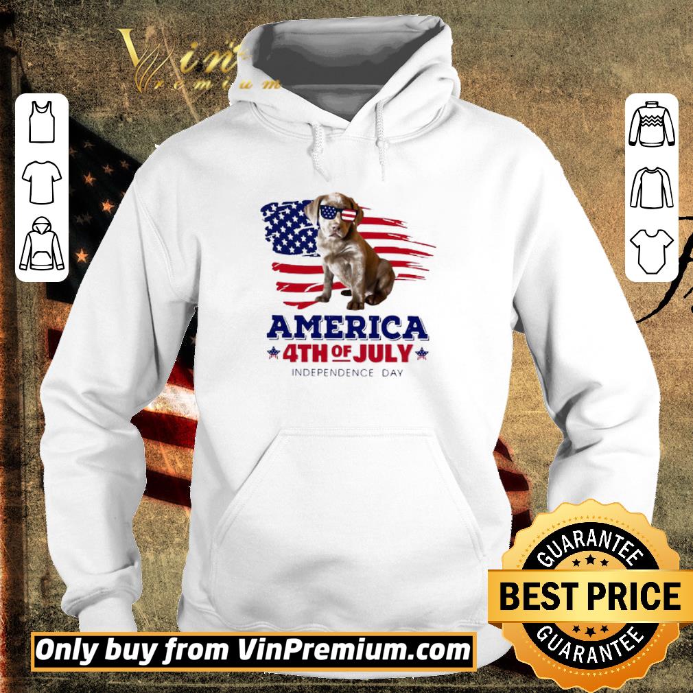 Awesome Silver Labrador Retriever America 4th Of July Independence Day shirt