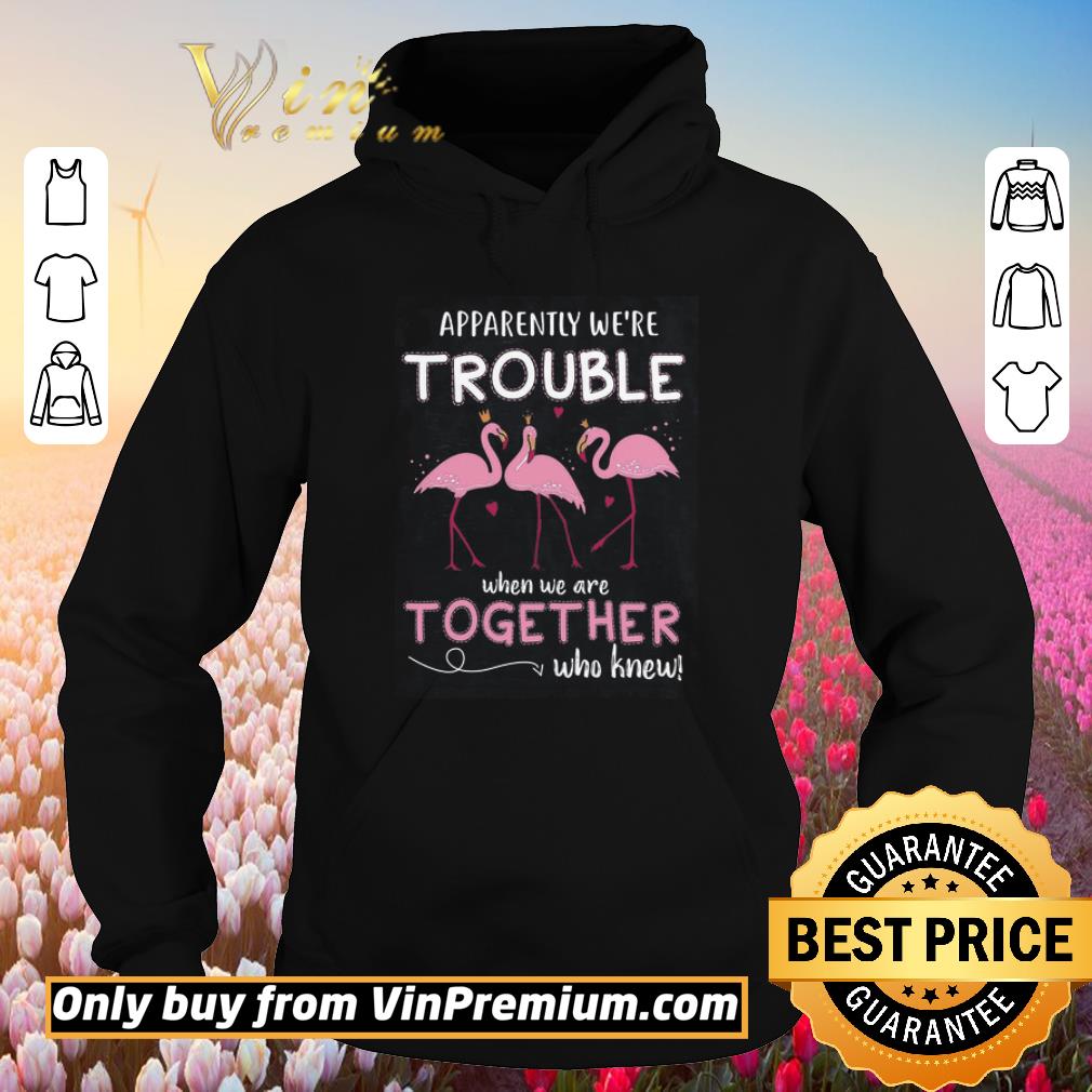 Funny Flamingo Apparently We're Trouble When We Are Together Who Knew shirt 5 Funny Flamingo Apparently We're Trouble When We Are Together Who Knew shirt
