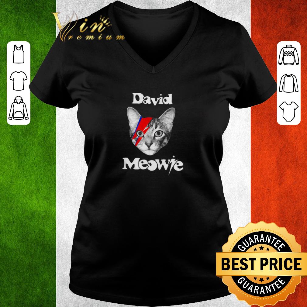 Hot David Meowie David Bowie shirt 2 Hot David Meowie David Bowie shirt 3