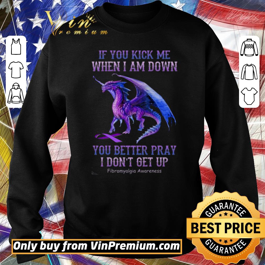 Hot Dragon Fibromyalgia Awareness If You Kick Me When I Am Down You Better shirt