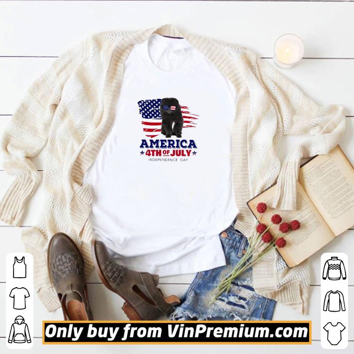 Pretty Tiny Black Pomeranian Spitz America 4th Of July Independence Day shirt