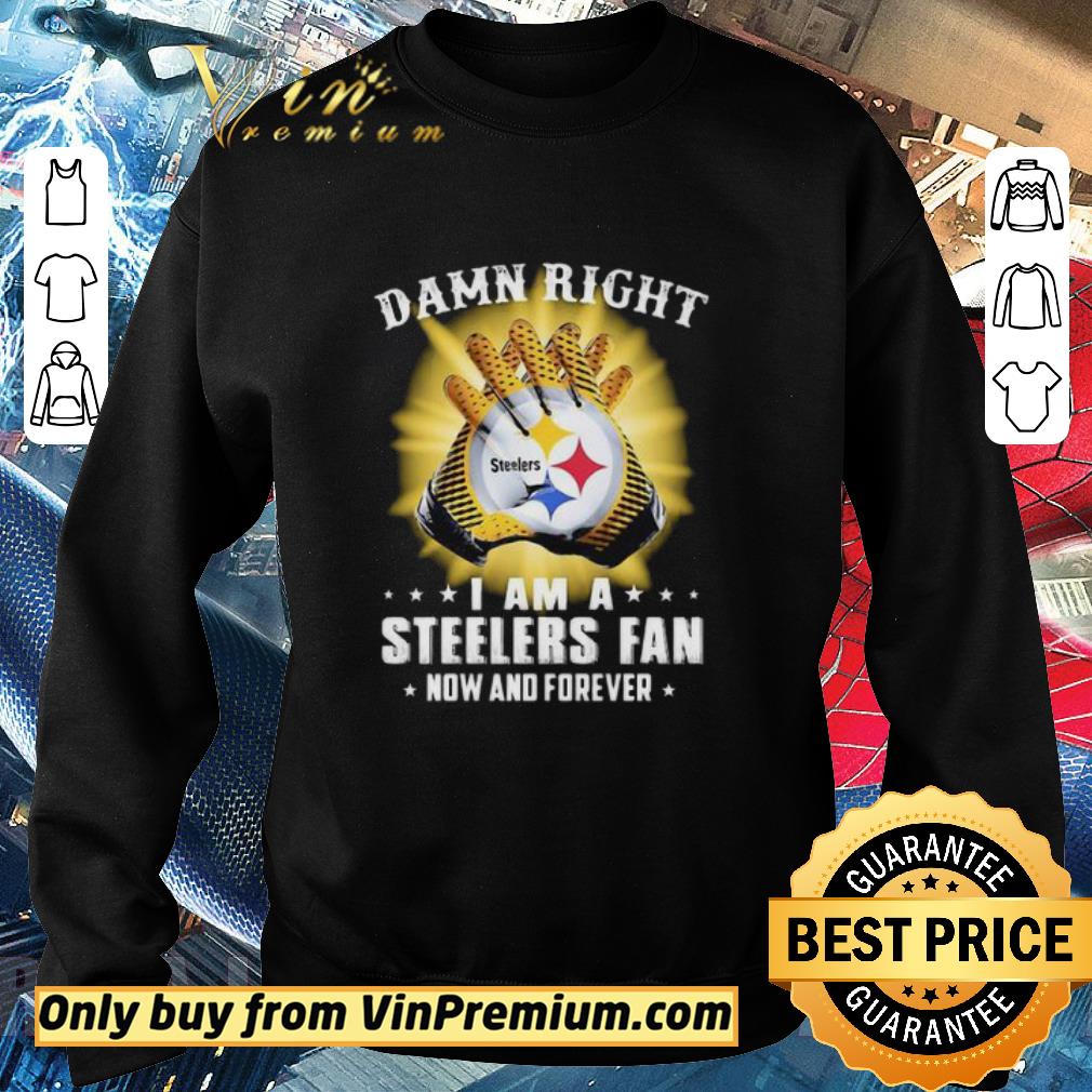 Official Damn right i am a steelers fan now and forever stars shirt