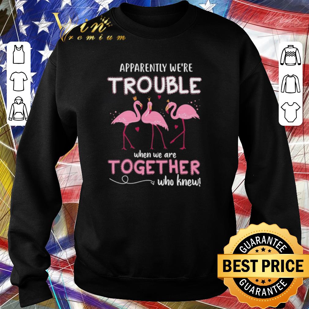 Original Apparently We’re Trouble Flamingos When We Are Together Who Knew shirt 5 Original Apparently We’re Trouble Flamingos When We Are Together Who Knew shirt