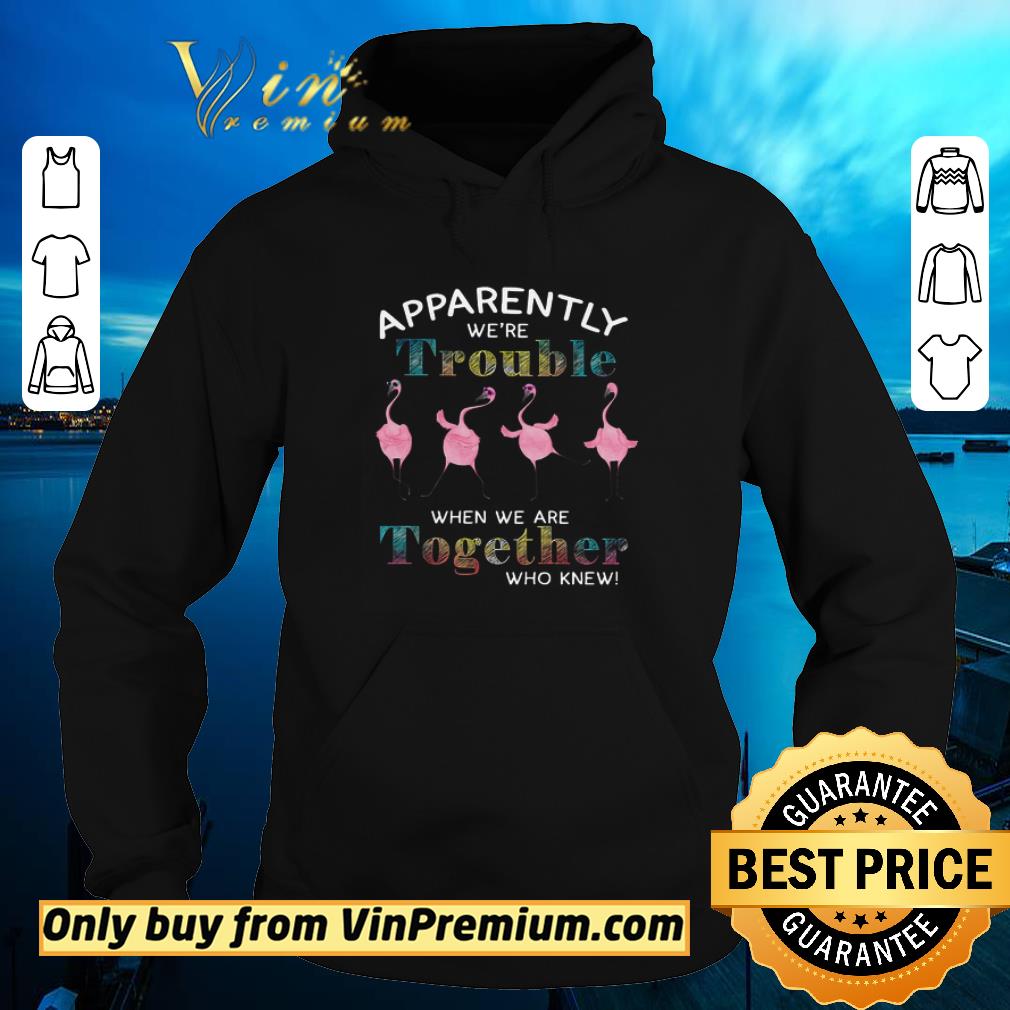 Premium Flamingo Apparently We're Trouble When We Are Together Who Knew shirt 5 Premium Flamingo Apparently We're Trouble When We Are Together Who Knew shirt