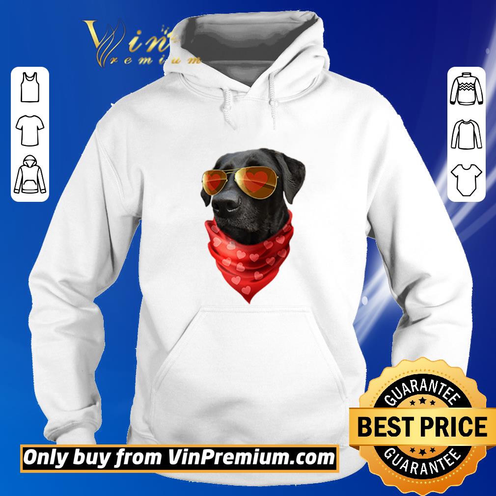 Funny Labrador Valentines Day Heart Valentine shirt 5 Funny Labrador Valentines Day Heart Valentine shirt