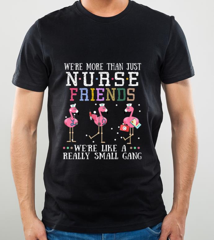 Nice We're More Than Just Nurse Friends We're Like A Really Flamingos shirt