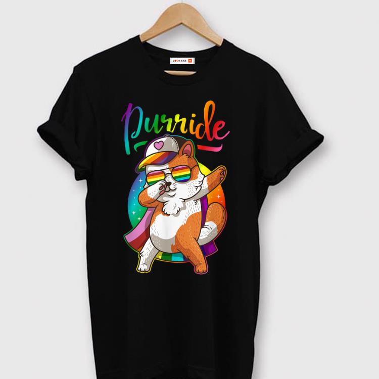 Hot Dabbing Cat Lgbt Flag Purride Lgbt Pride shirt