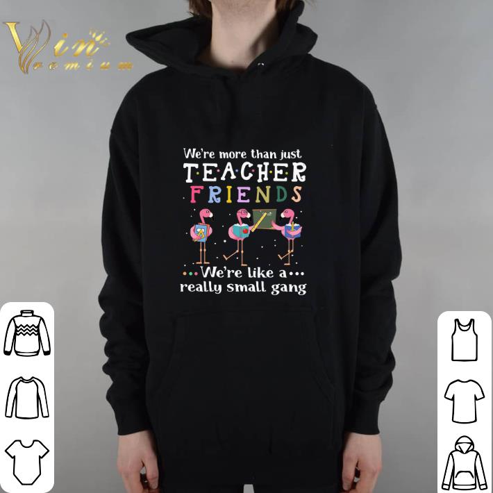 Pretty Flamingos we're more than just teacher friends we're like a hoodie shirt