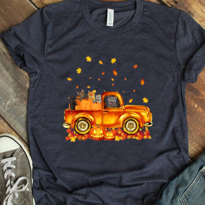 Top Autumn Cat Kitten Pumpkin Falling Leaf Car shirt