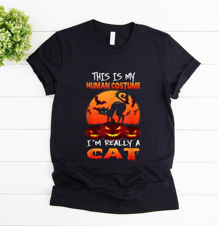 Beautiful I'm Really A Cat Halloween This Is My Human Costume shirt