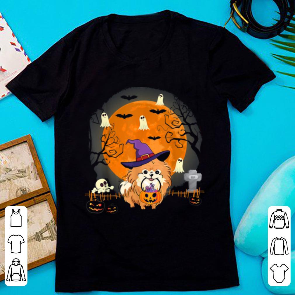 Hot Pomeranian Dog Witch Halloween Pumpkin Halloween Gift shirt