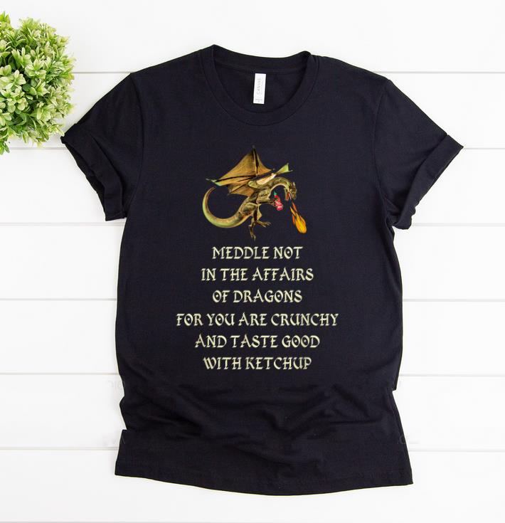 Nice Meddle Not In The Affairs Of Dragons shirt