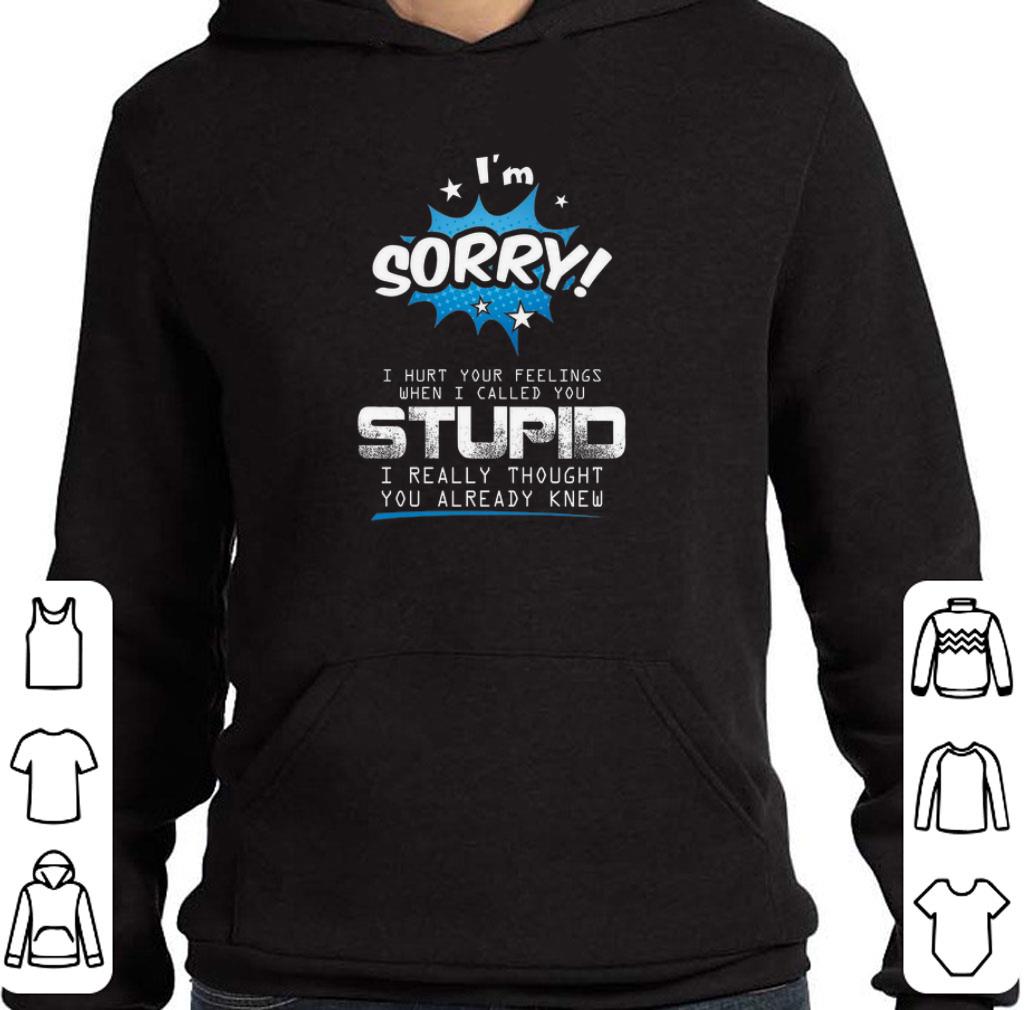 I'm sorry i hurt your feelings when i called you stupid i really shirt