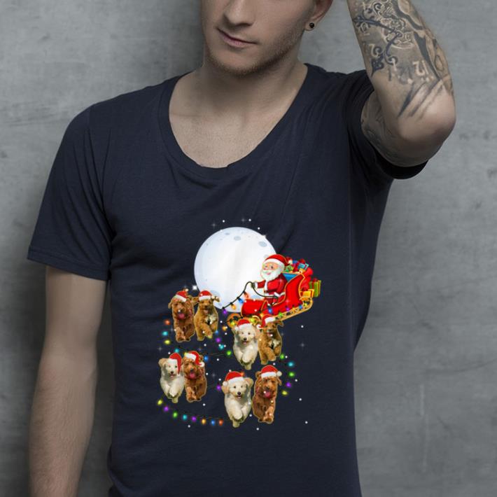 Top Goldendoodle Christmas Reindeer Christmas Lights Pajama Gift shirt