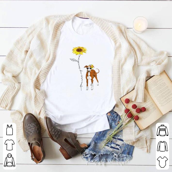 Awesome Italian Greyhound You Are My Sunshine Sunflower shirt