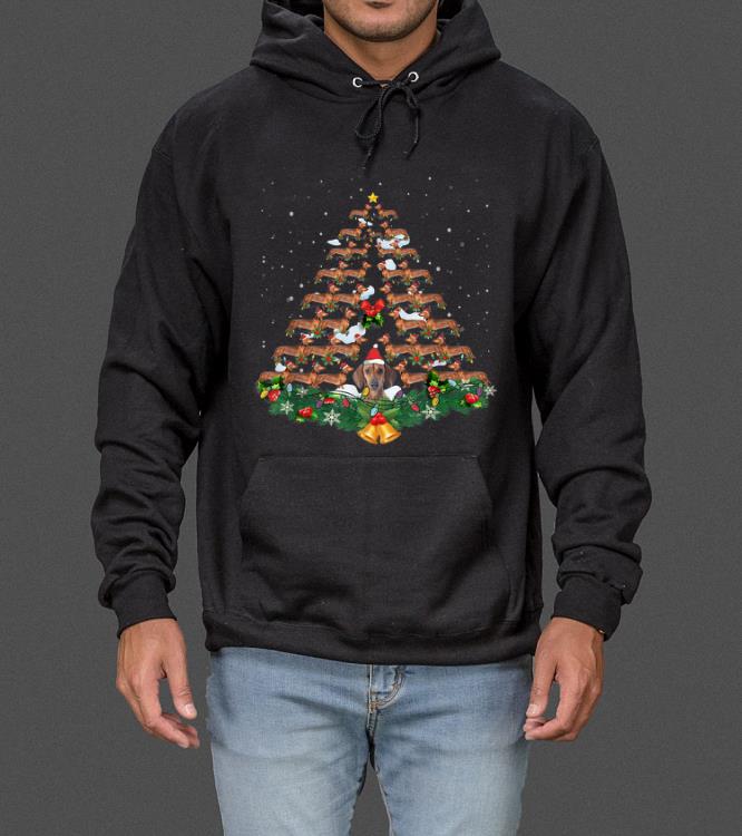 Hot Dachshund Dog Christmas Tree Lights Santa Hat Graphic Gift sweater