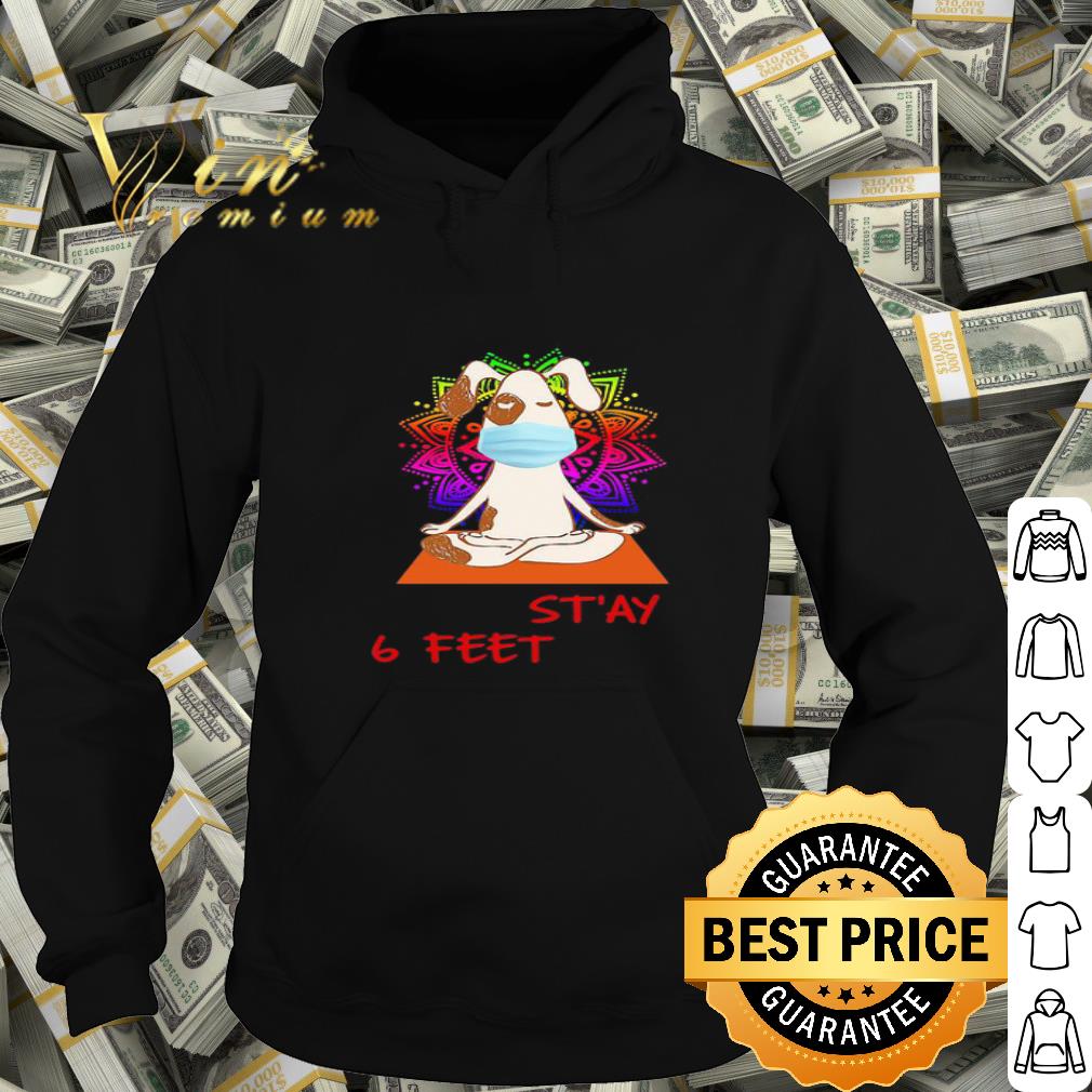 Yoga dog chill stay 6 feet Coronavirus shirt Yoga dog chill stay 6 feet Coronavirus shirt 4 - Yoga dog chill stay 6 feet Coronavirus shirt