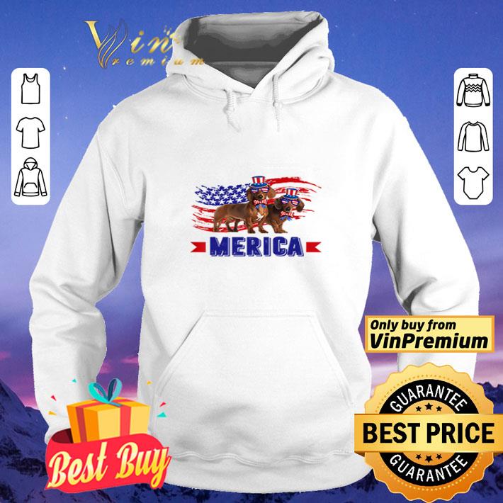 Dachshund Sunglasses Hat American Flag 4th of July shirt