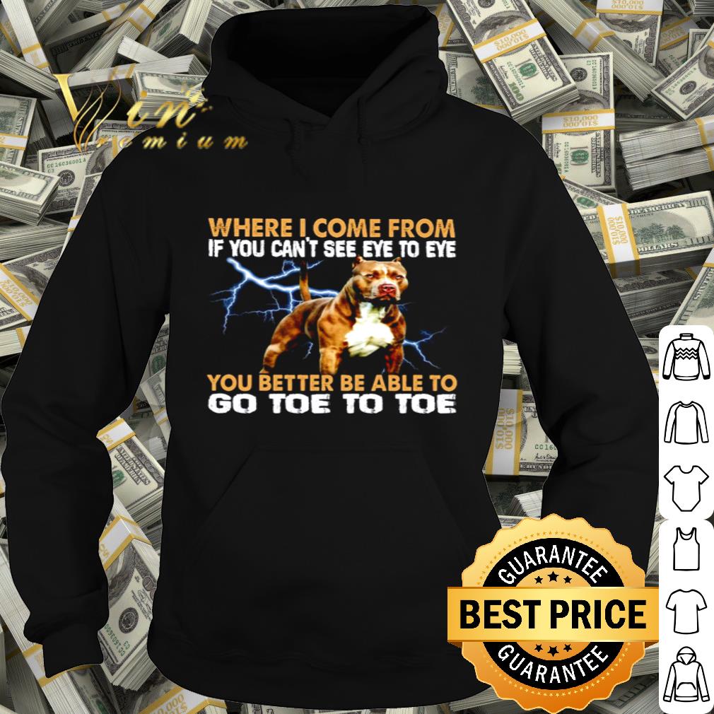 Pitbull Where I Come From If You Can’t See Eye To Eye shirt