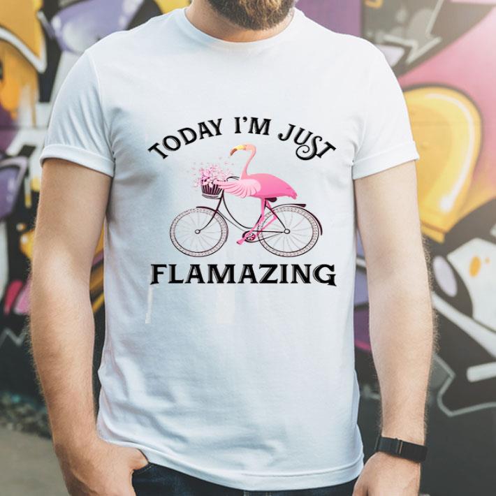 Flamingo Today I'm Just Flamazing shirt