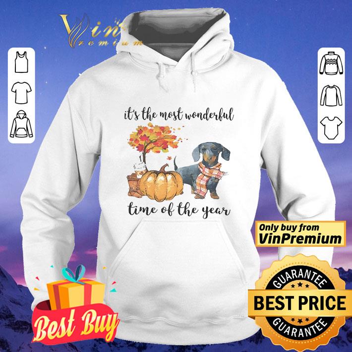 Fall Pumpkin It’s The Most Wonderful Time Of The Year Dachshund shirt