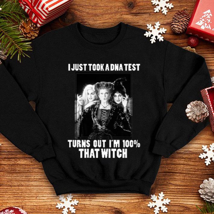 Hocus Pocus I Just Took A Dna Test Turns Out I'm 100 That Witch shirt