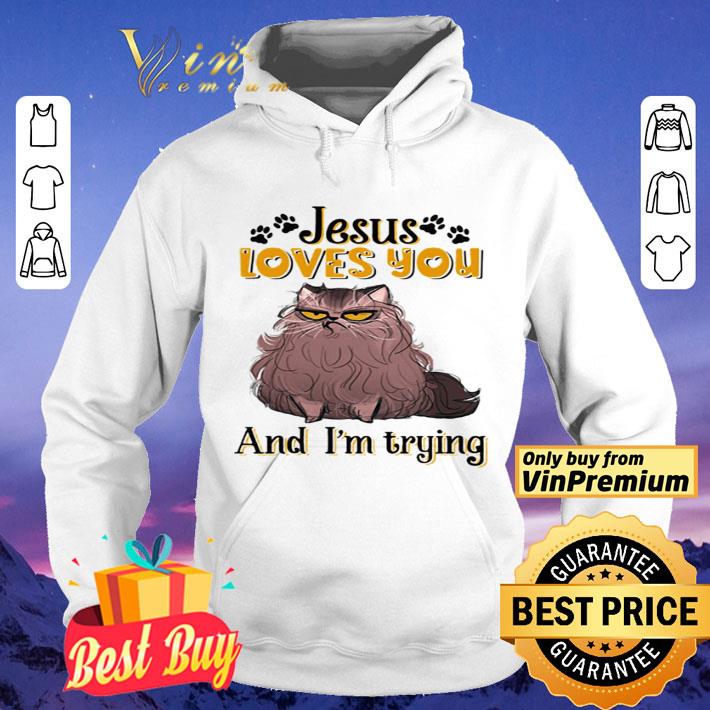 Cat brown jesus loves you and i’m trying shirt