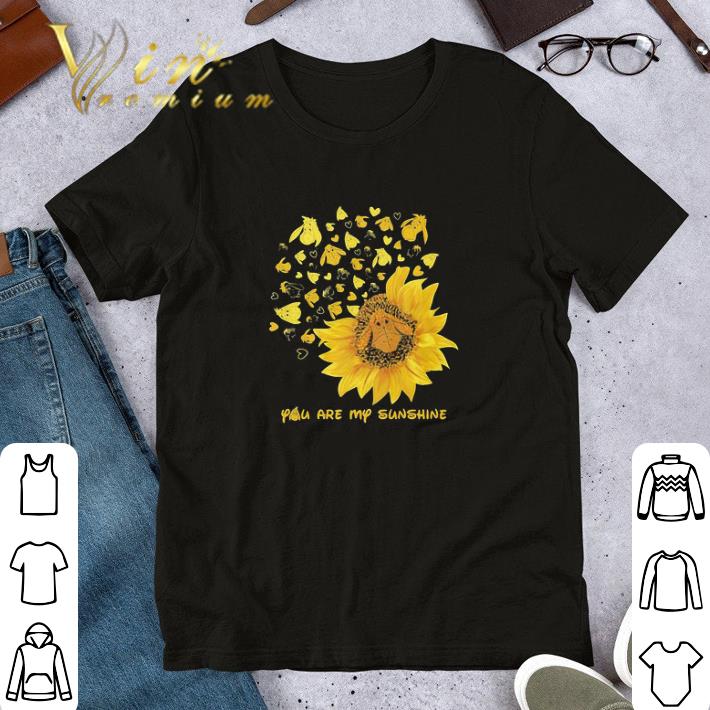 Sunflower Spina Bifida Awareness You Are My Sunshine shirt 7