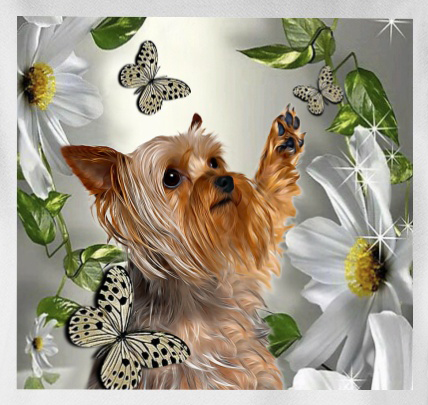 Yorkshire Terrier Daisy flower and butterfly face mask with filter 3