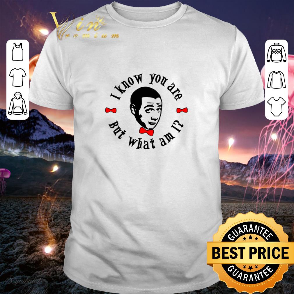 I hate people bears rainbow shirt 6