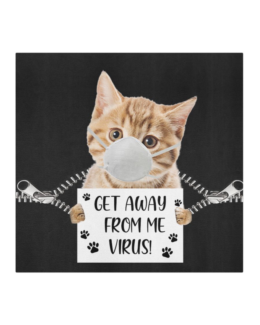 Cat Get away from me Coronavirus face mask with filter 3