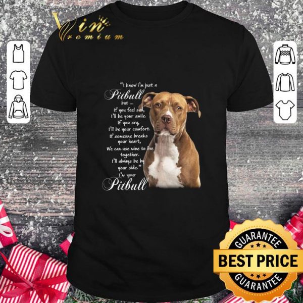 Awesome Pitbull but if you feel sad i'll be your smile if you cry comfort shirt 1