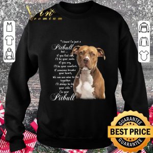 Awesome Pitbull but if you feel sad i'll be your smile if you cry comfort shirt 5