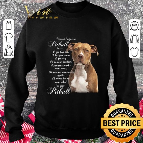 Awesome Pitbull but if you feel sad i'll be your smile if you cry comfort shirt 3
