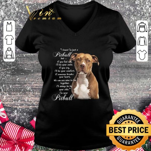 Awesome Pitbull but if you feel sad i'll be your smile if you cry comfort shirt 2