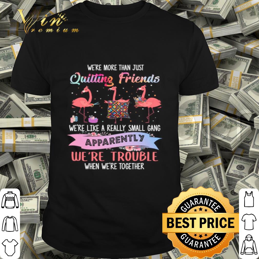 Flamingos we’re more than just quitting friends apparently we're trouble shirt