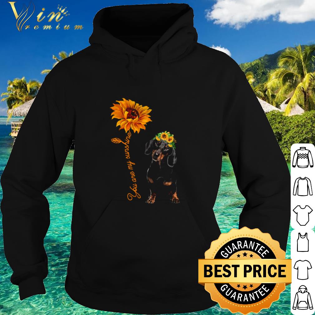 Cool Dachshund and Sunflower you are my sunshine shirt