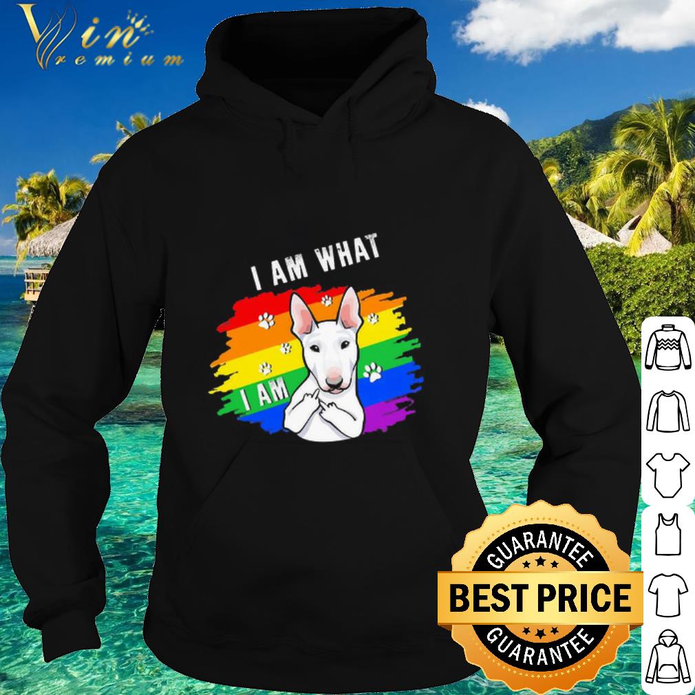 Nice LGBT Bull Terrier I am what I am shirt