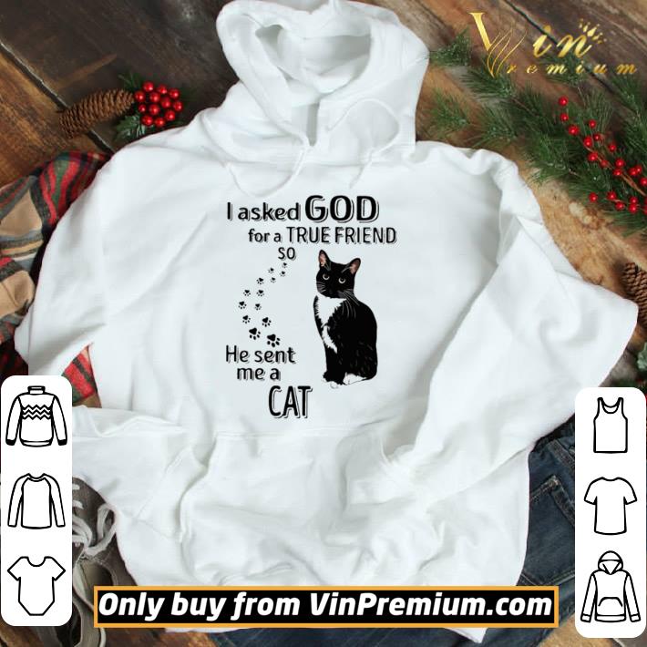 I asked God for a true friend so he sent me a Cat shirt