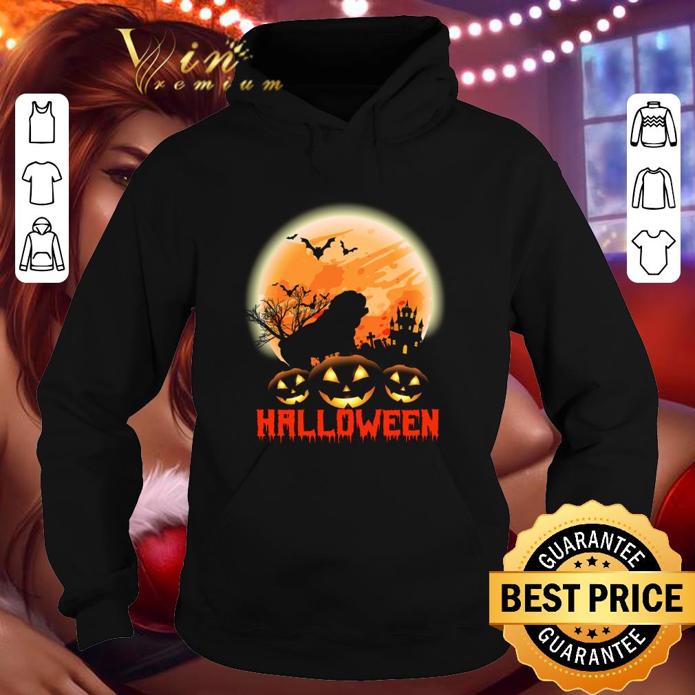 Hot Pug Pumpkins Moon Halloween shirt