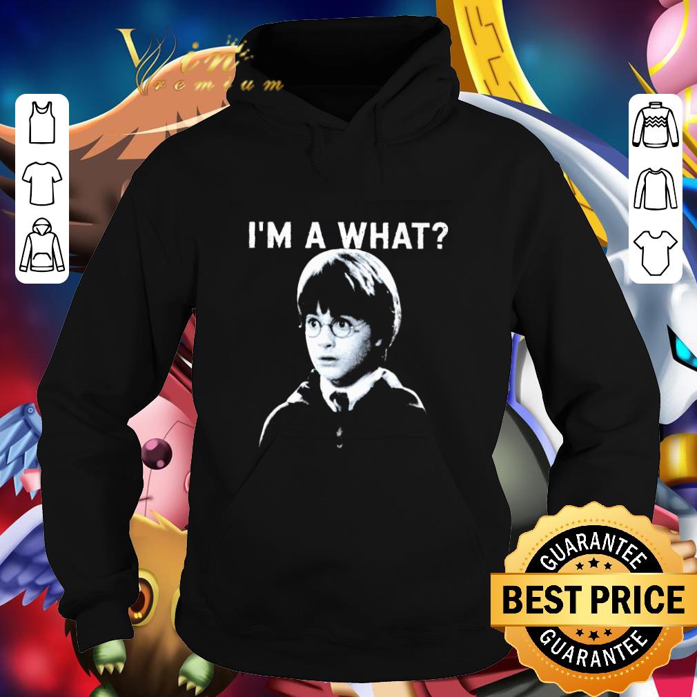 Funny Harry Potter I'm A What shirt