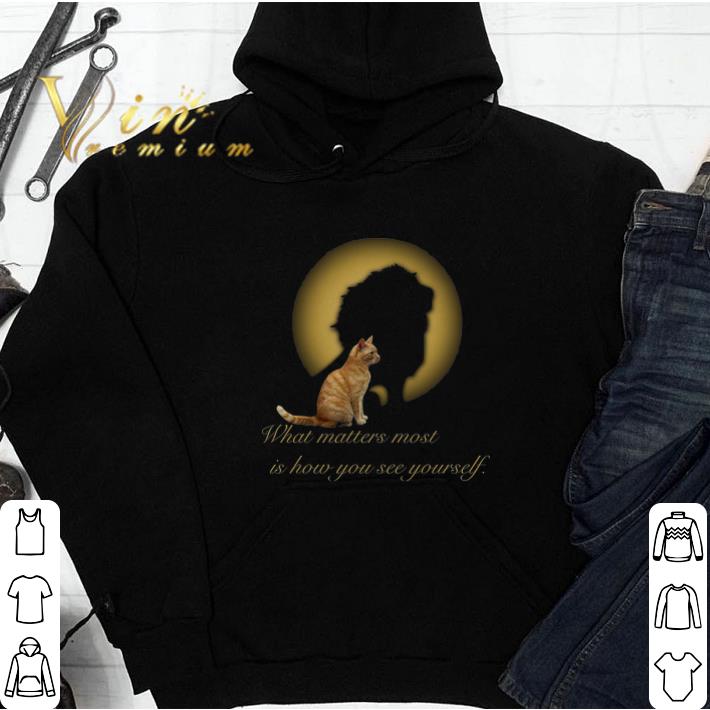 Lion Cat What Matters Most Is How You See Yourself tshirt