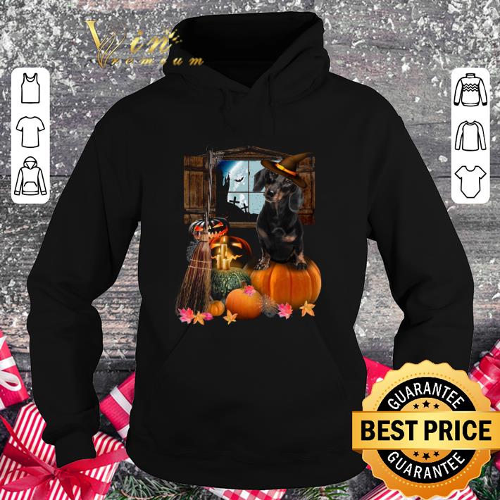 Hot Pumpkin Black Dachshund Halloween shirt 3 Hot Pumpkin Black Dachshund Halloween shirt