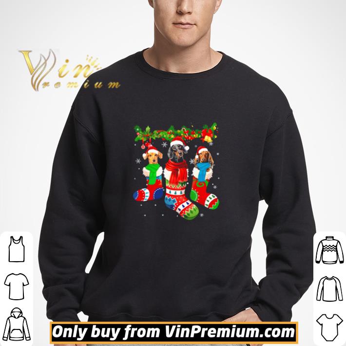 Dachshund in Christmas socks shirt