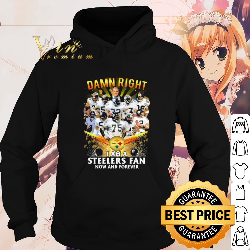 Official Damn Right I Am A Pittsburgh Steelers Fan Now And Forever shirt