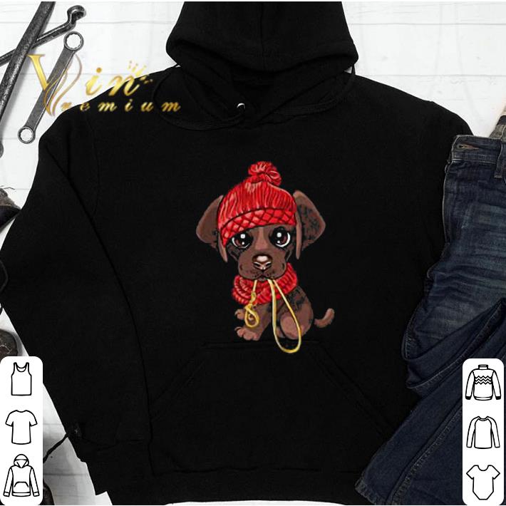 Chocolate Lab Labrador Dog Puppy Sweater Hat Love Dogs tshirt